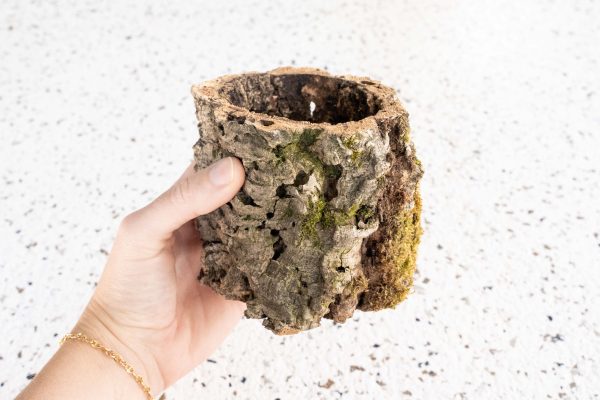 Natural Cork Bark Planters Cheap - Image 2