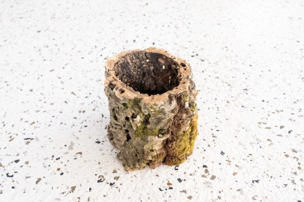 Natural Cork Bark Planters Cheap