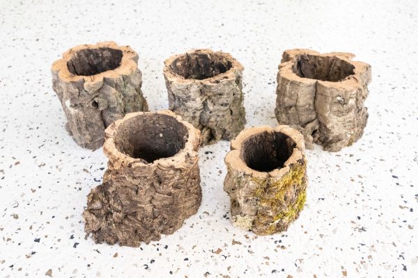 Natural Cork Bark Planters Cheap - Image 4